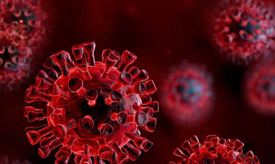 بلدية معروب: تمديد الإقفال العام حتى الأربعاء المقبل