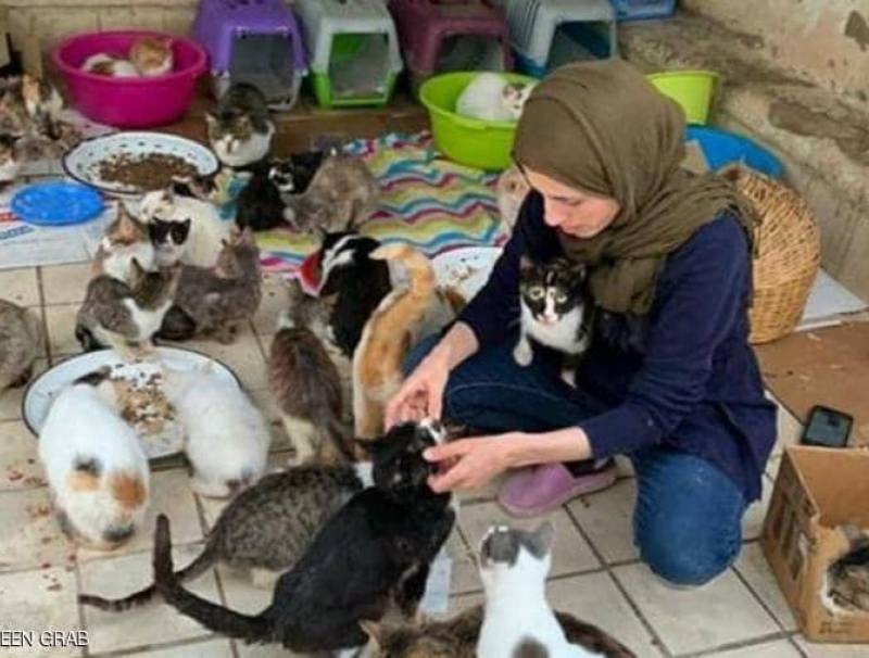 تصفهم بـ"أبنائها".. مغربية تحول منزلها إلى مأوى للقطط