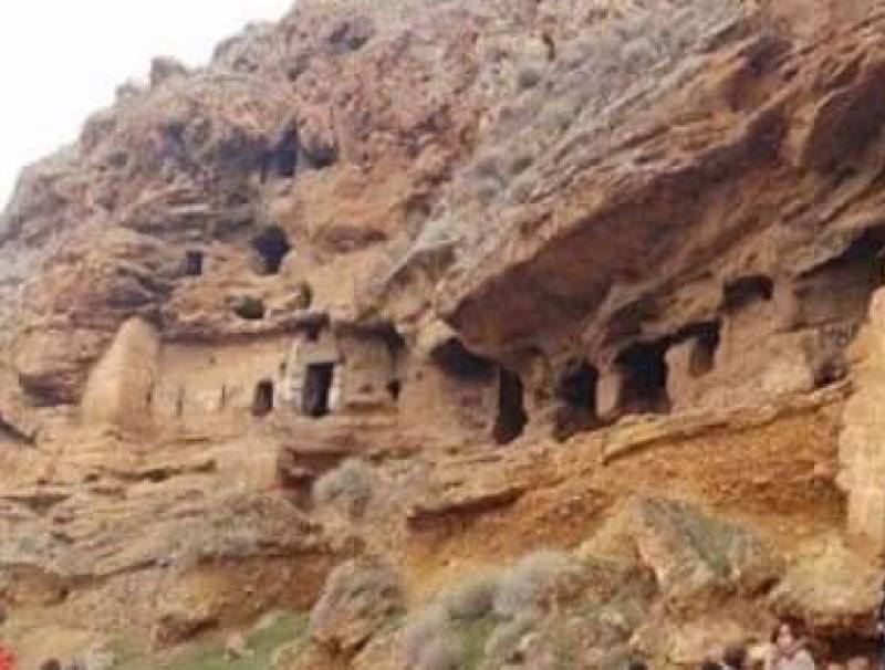 نضال شهاب