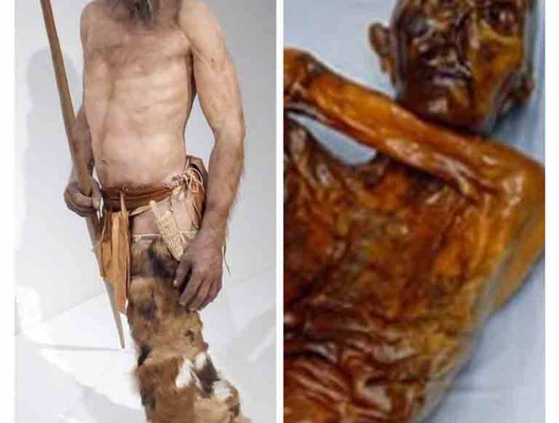 هرسل للوطنية: الغموض ما زال يلف شخصية رجل الجليد
