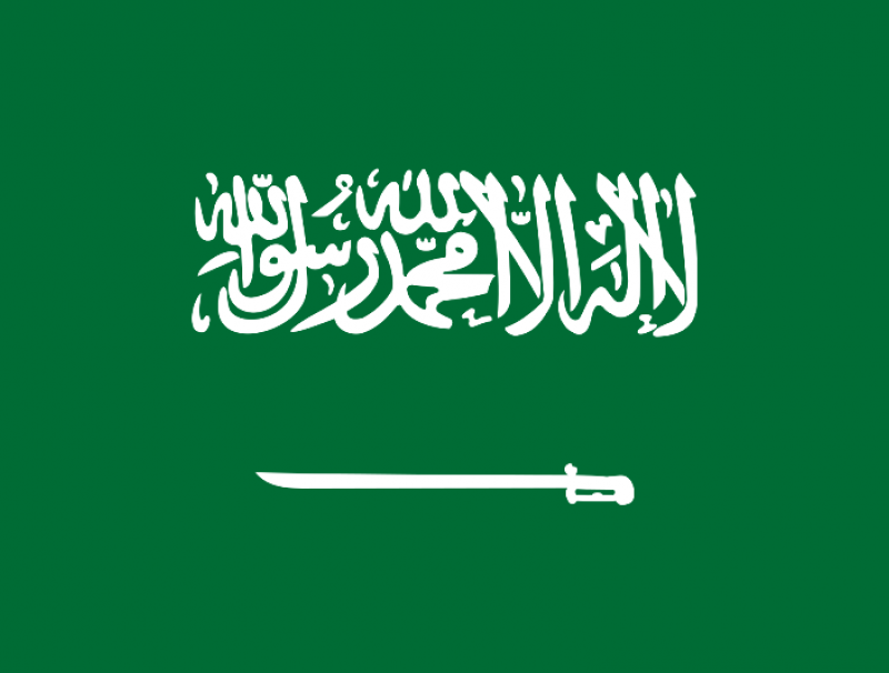 السعودية تعتزم إطلاق مناطق اقتصادية خالصة في العام المقبل