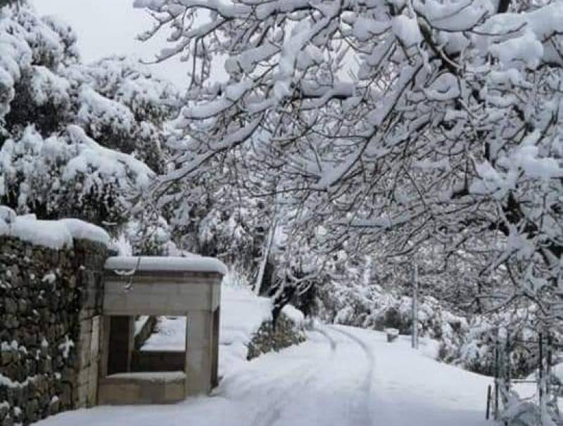 العاصفة مستمرة لليوم الثالث على التوالي مع تدن حاد في الحرارة خطار: استنفرنا عناصرنا وتمكنا من تلبية أغلبية الطلبات