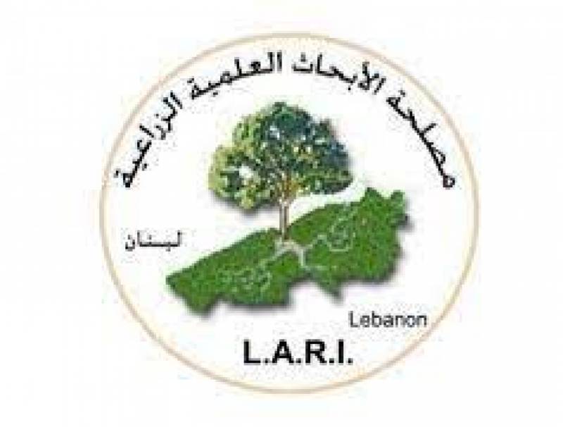 رفض بعض المسؤولين والمواطنين الاعتراف لمقدرات مؤسسة الابحاث العلمية الزراعية